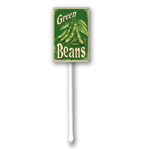 green beans20240607 001.jpg