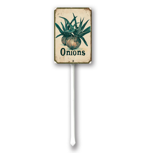 Onions20240607 001.jpg