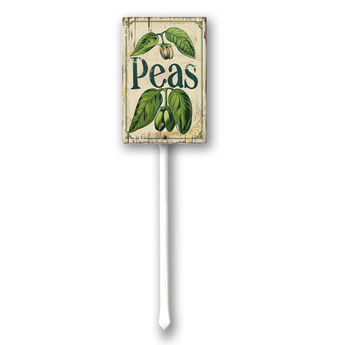 peas20240607 001.jpg