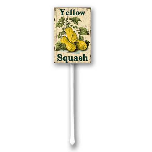 Yellow Squash20240607 001.jpg