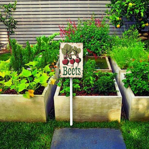 Beets20240607 001 3.jpg