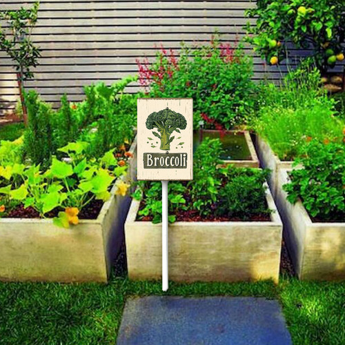 Broccoli20240607 001 3.jpg