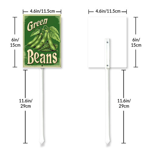 green beans20240607 001 6 6.jpg
