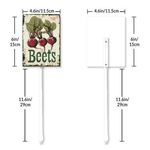 Beets20240607 001 6 6.jpg