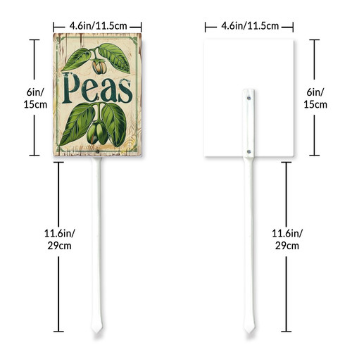 peas20240607 001 6 6.jpg