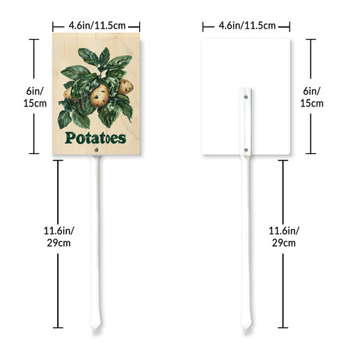 Potatoes20240607 001 6 6.jpg