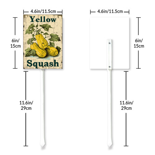 Yellow Squash20240607 001 6 6.jpg