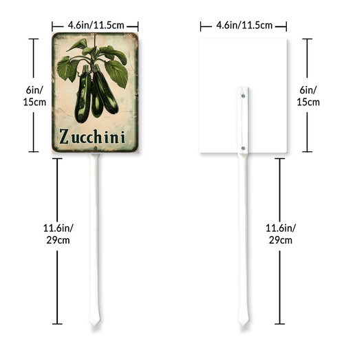 zucchini20240607 001 6 6.jpg