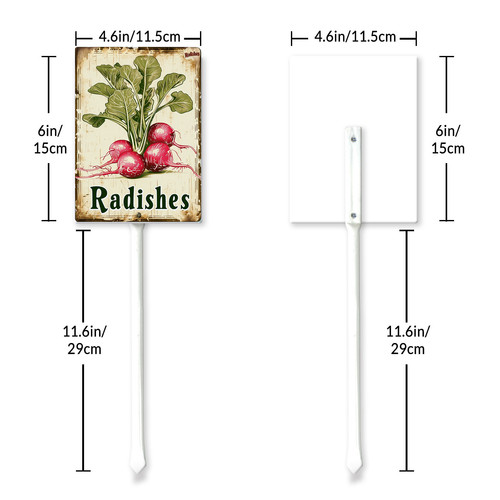 Radishes20240607 001 6 6.jpg