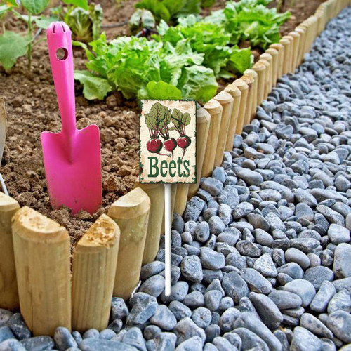 Beets20240607 001 1.jpg