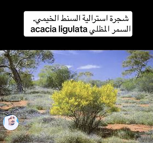 HA8DjOVXEAEMKHa.jpg