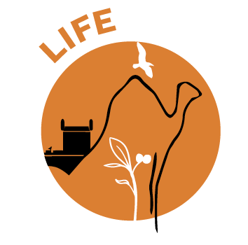 pur life maroc logo white font (1).png