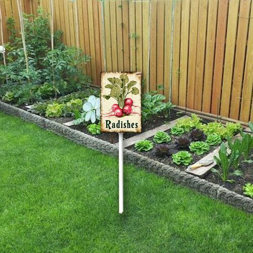 Radishes20240607 001 2.jpg