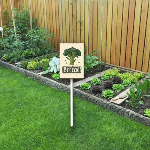 Broccoli20240607 001 2.jpg