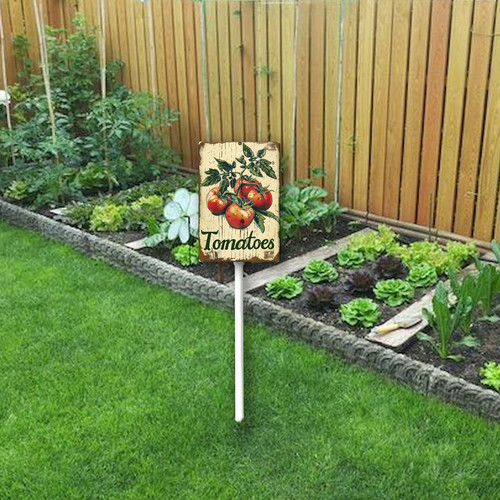 Tomatoes20240607 001 2.jpg
