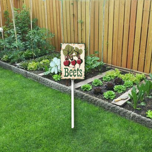 Beets20240607 001 2.jpg