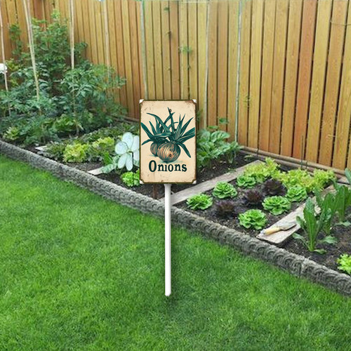 Onions20240607 001 2.jpg