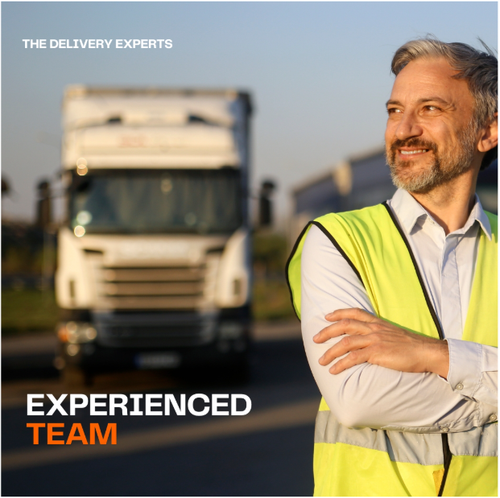 Experinced Team Delex.png