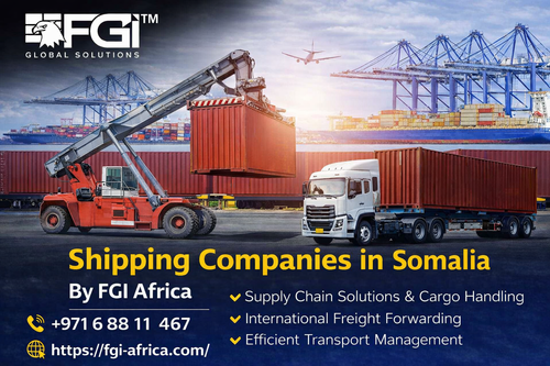 Shipping Companies in Somalia By FGI Africa.png
