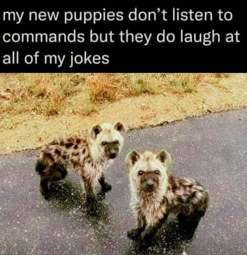 616821793 925031580183398 439209437053321006 n.jpg