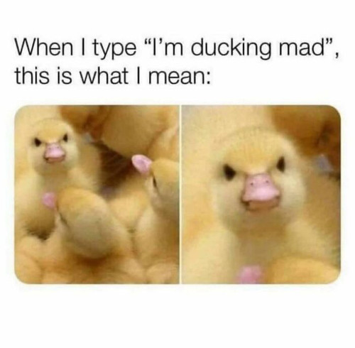 30 6800af9af25a9 700.jpg