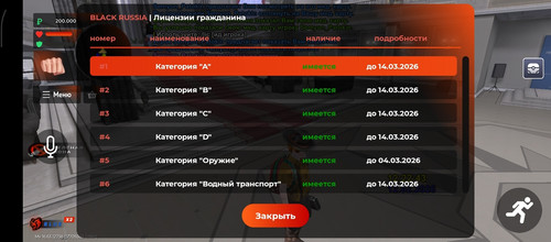 2927.jpg