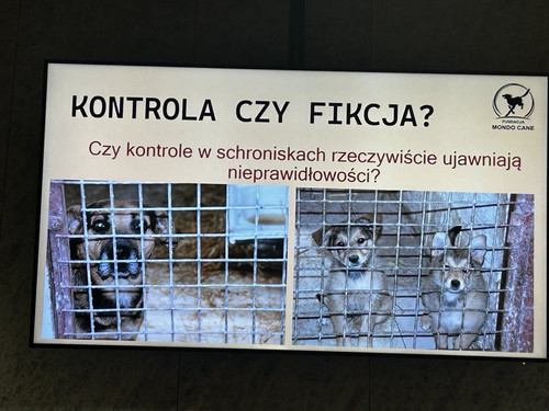 HA4qZRDbMAA J Q?format=jpg.jpg
