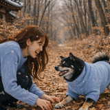 강원도 강릉 오솔길2.png