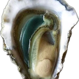 image 2026 02 12 174834234.png
