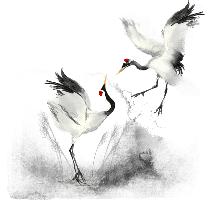 retouch 2026021300043940.png