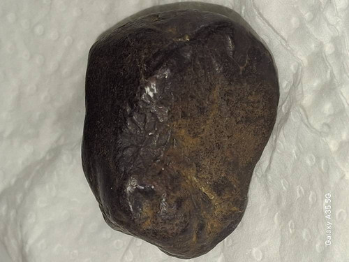 a0f35e0e1206.jpg