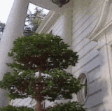 1000003427.gif