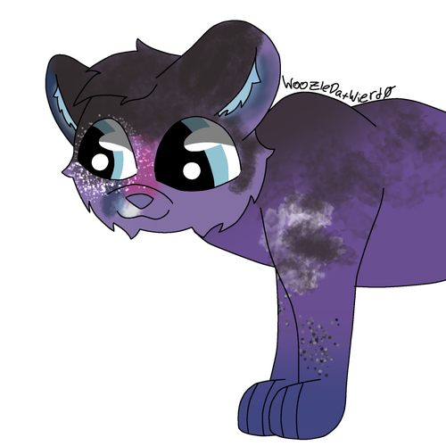 Untitled7 20260211163401.png