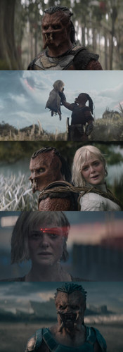 InCollage 20260212 184038592.jpg