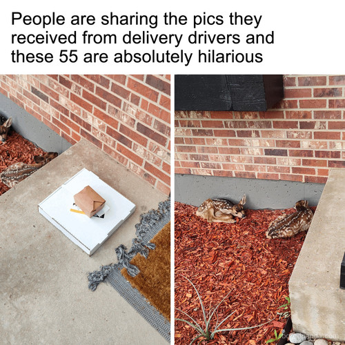 confirmation delivery photo fails.jpg