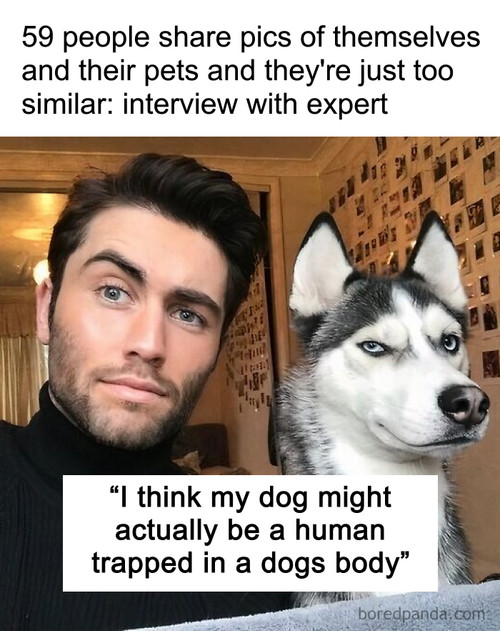 pets look like owners.jpg