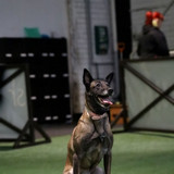 1000147929