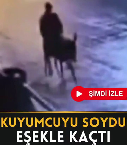 e8NL Fugvy7aLA3h.jpg