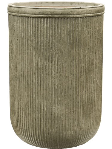 6VRCG0065.png