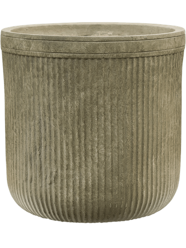 6VRCG0030.png