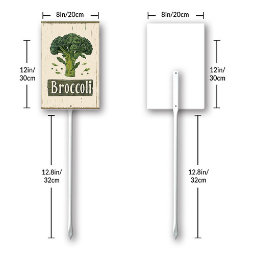 Broccoli20240607 001 8.jpg