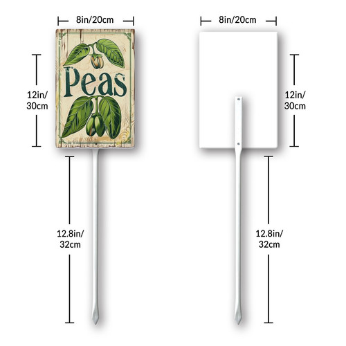 peas20240607 001 8.jpg