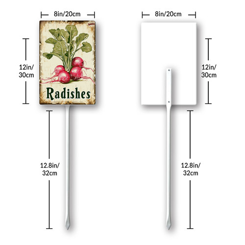 Radishes20240607 001 8.jpg