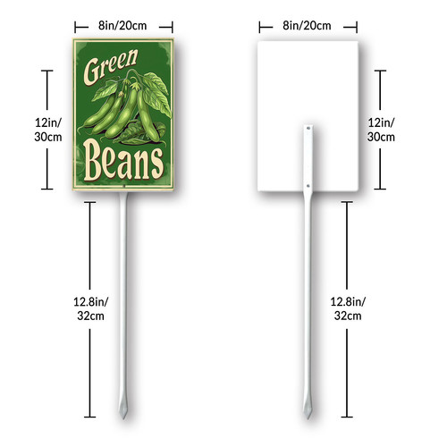 green beans20240607 001 8.jpg