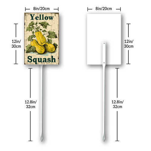 Yellow Squash20240607 001 8.jpg