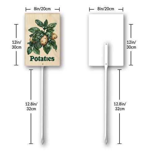 Potatoes20240607 001 8.jpg