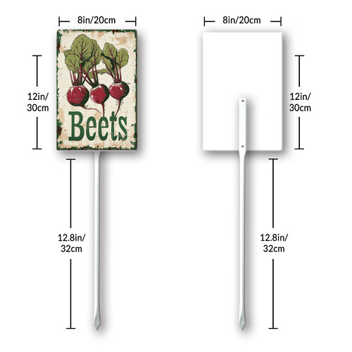 Beets20240607 001 8.jpg