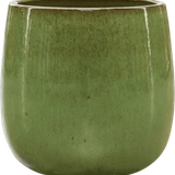 6BLNGR295.png