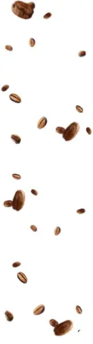 BG1png.webp