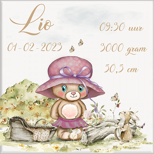 Geboortetegel 15x15cm gepersonaliseerd. - Image 5